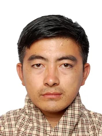 Thinley Jamtsho, Analyst